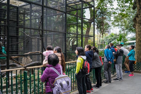 A small group of people, dressed in parkas and jackets, stands outdoors, looking toward a caged enclosure.