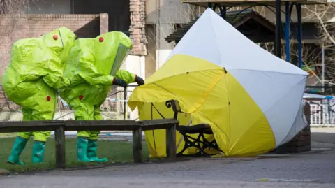 Novichok inquiry: Who was Dawn Sturgess and how was she poisoned? | INFBusiness.com