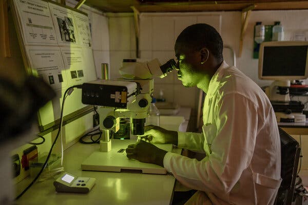 A man in a laboratory looks into a microscope.