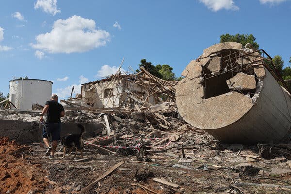 A man and a dog walk past destroyed buildings and debris.