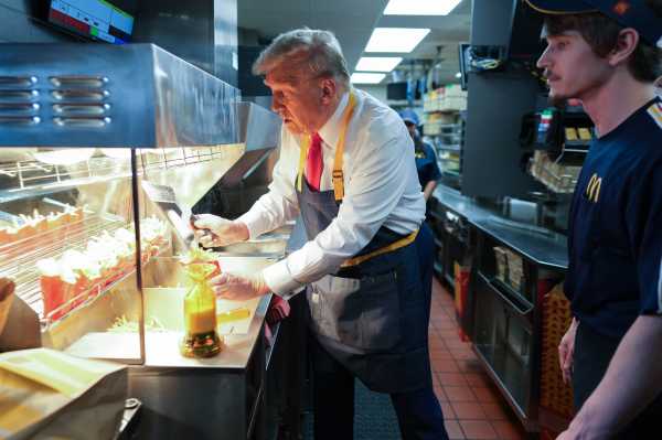 Trump Slings McDonald’s Fries as He Smears Harris in Pennsylvania | INFBusiness.com