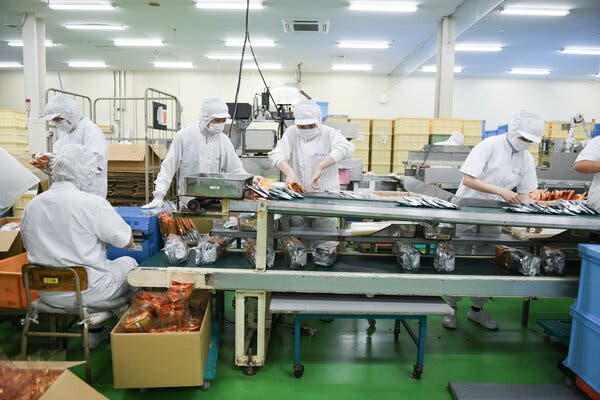 People wearing white uniforms inside a factory working on a production line. 