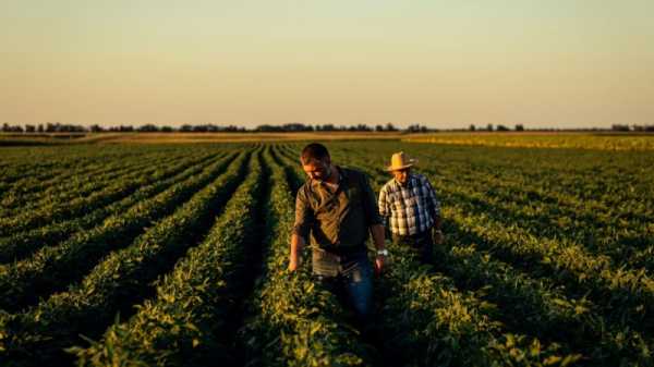 Bulgarian farmers to receive €100 million in state subsidies after protest threat | INFBusiness.com