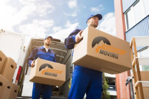 Top Challenges of Office and Warehouse Moves and How to Tackle Them