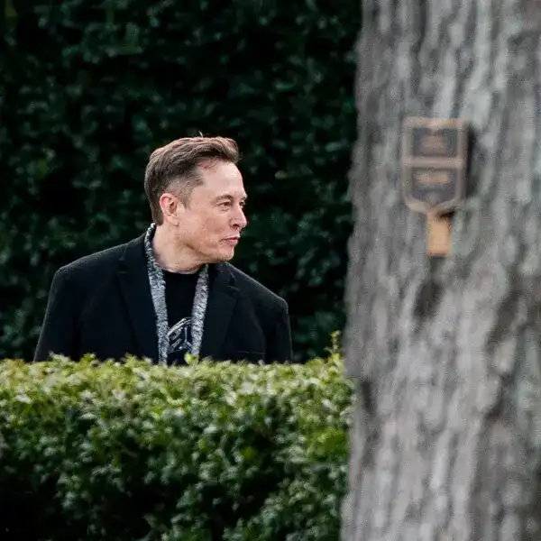 Elon Musk and DOGE are keeping an eye on social security