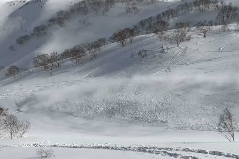 Japan's ski slopes have too much of a good thing: snow. | INFBusiness.com