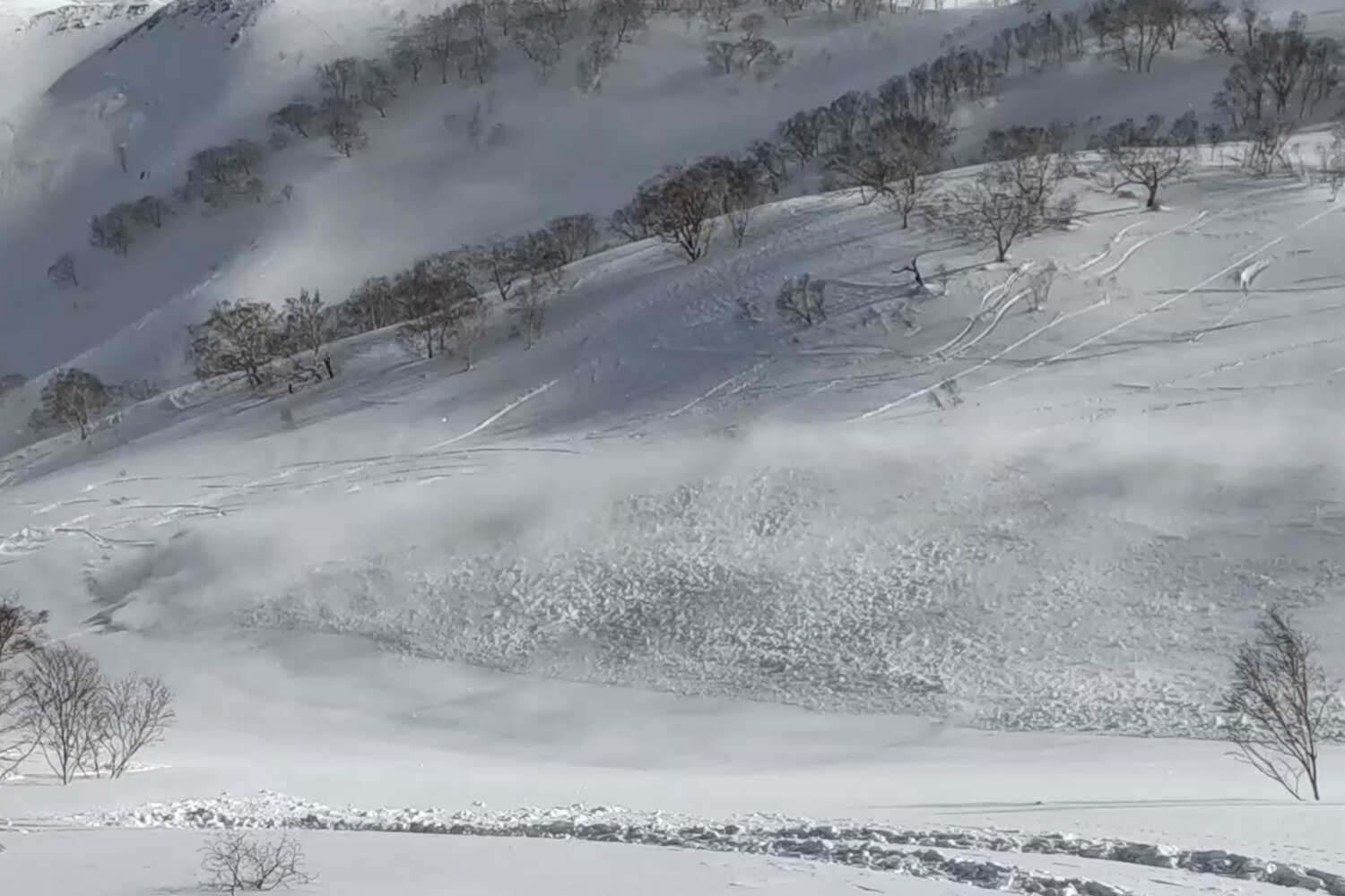 Japan's ski slopes have too much of a good thing: snow.