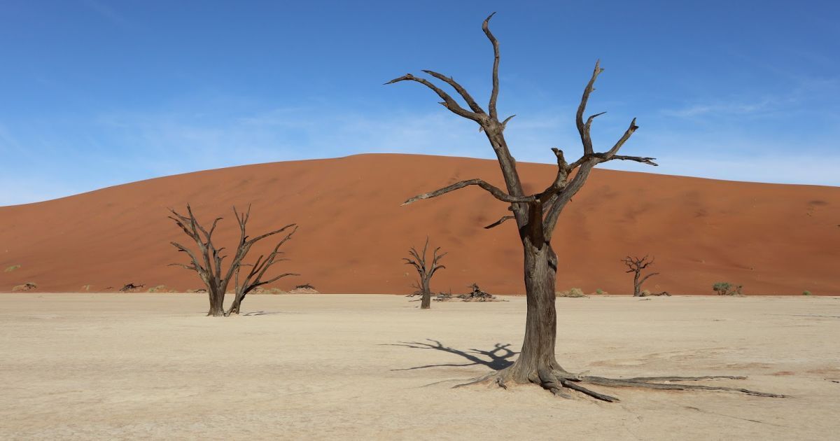 Desert of Africa Пустеля Африки