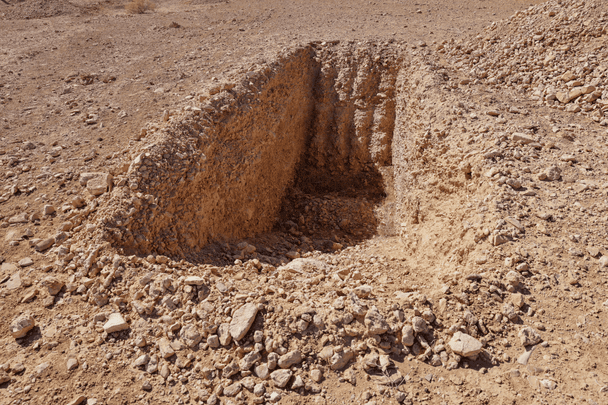 Burial in Syria / © Reuters