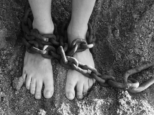 317 girls were kidnapped from a girls' boarding school in Nigeria.