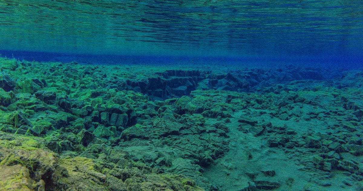 Africa: Splitting Apart, New Sea Forming