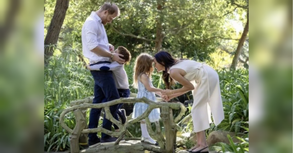 Doesn't leave the house: Prince Harry is raising his children while Meghan enjoys the public eye