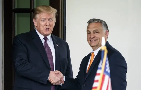 Trump Reveals His Pick in Hungarian Elections