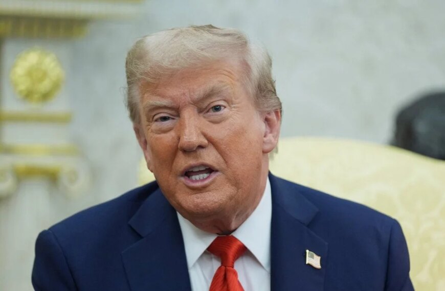 Trump fascinated by Ukraine war declaration following Abu Dhabi discussions.