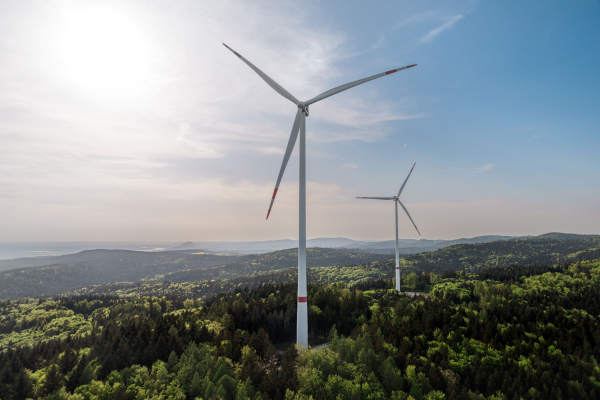 Orsted of Denmark Divests European Mainland Wind Assets to CIP in €1.4B Deal