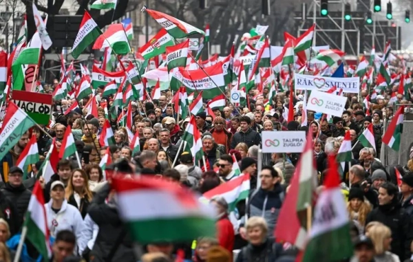 Hungarian Vote: Tisza Leads with Assurance