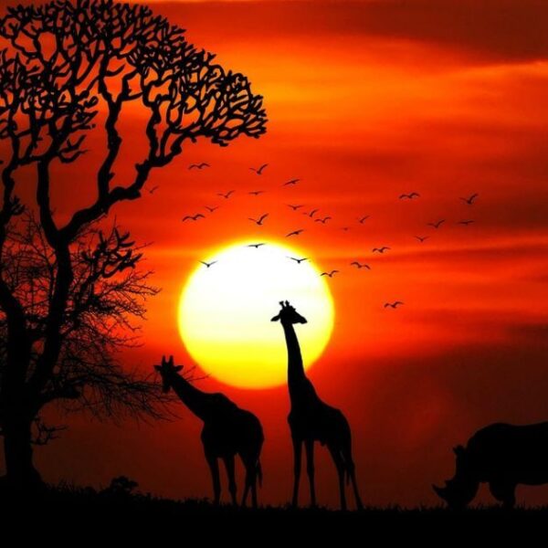 Africa Bisected: Researchers Find Massive Subterranean Fracture