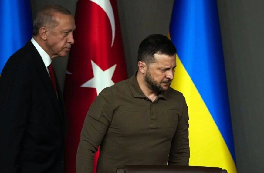 Zelenskyy Shares Key Aspects of Major Accord with Erdogan: Four Highlights