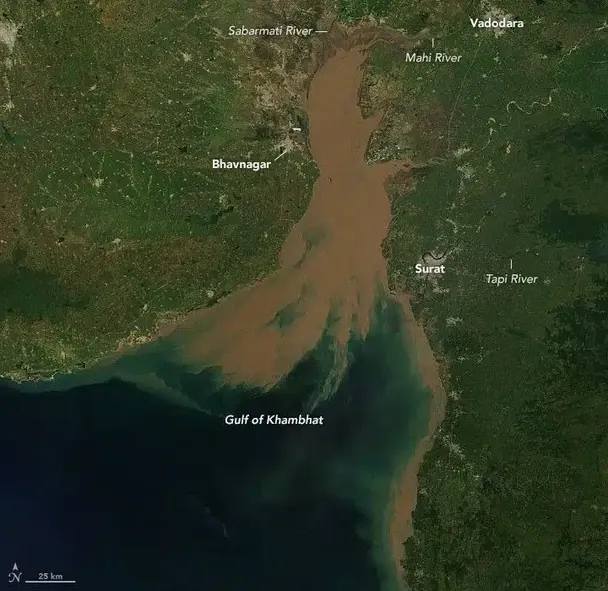 Satellite image of the Gulf of Khambhat in India. / © NASA