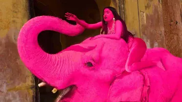 Russian Julia Buruleva on a pink elephant_5 / © Instagram @julia.buruleva