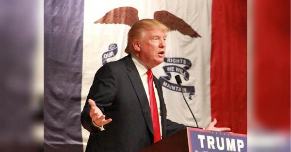 “The lion should be grateful – without me he wouldn't be in the Vatican”: Trump attacked the Pope on social media