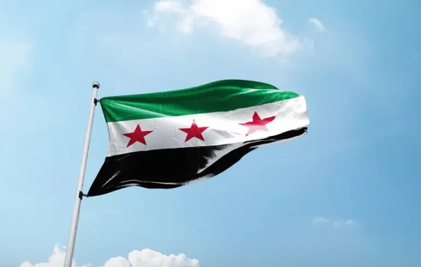 Assad’s Government Collapse: EU Strategy for Syria?