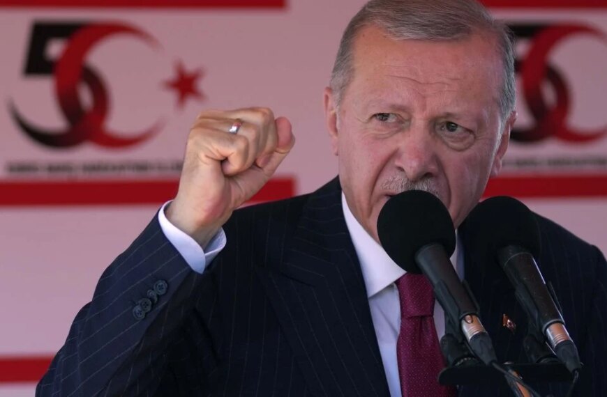 Erdogan commented on the Zelensky-Putin parley.