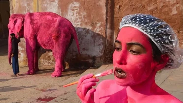 Russian Julia Buruleva on a pink elephant_2 / © Instagram @julia.buruleva