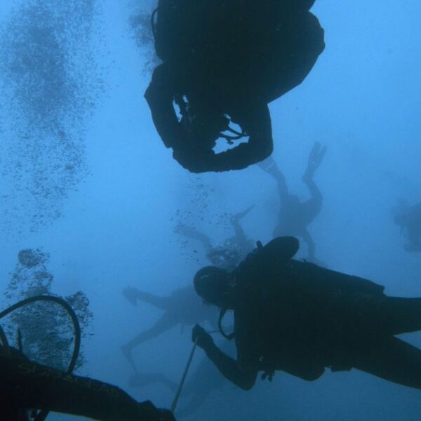 Ancient City Found Submerged: Predates Pyramids, Built by Lost People.