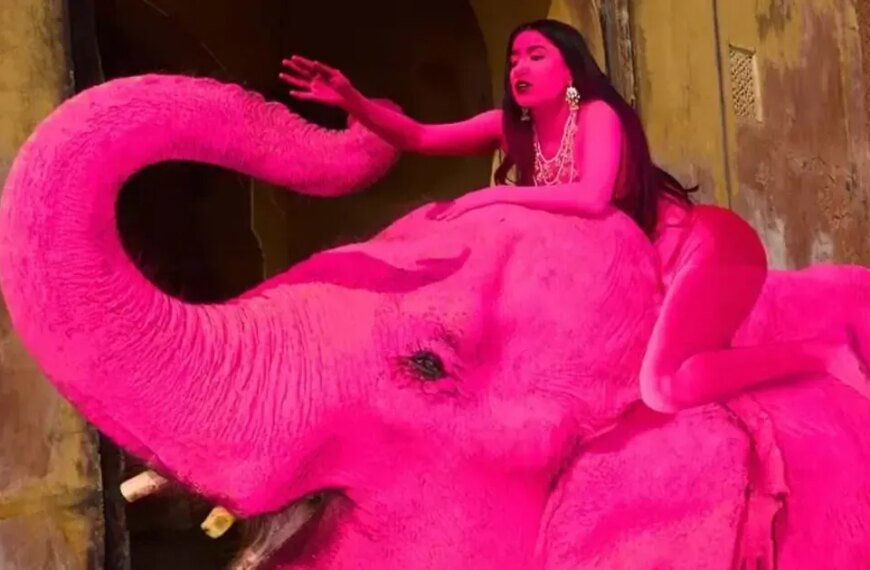 Pink Elephant’s Demise in India: Russian Woman’s Dye Job Detailed, Pics Released