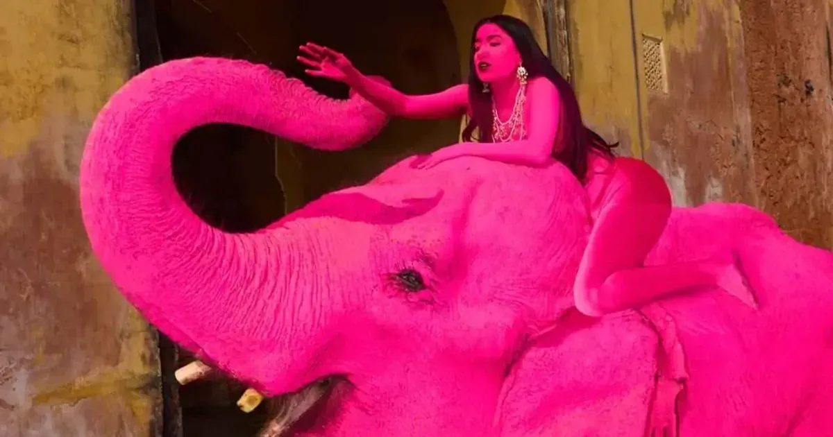 Pink Elephant’s Demise in India: Russian Woman’s Dye Job Detailed, Pics Released