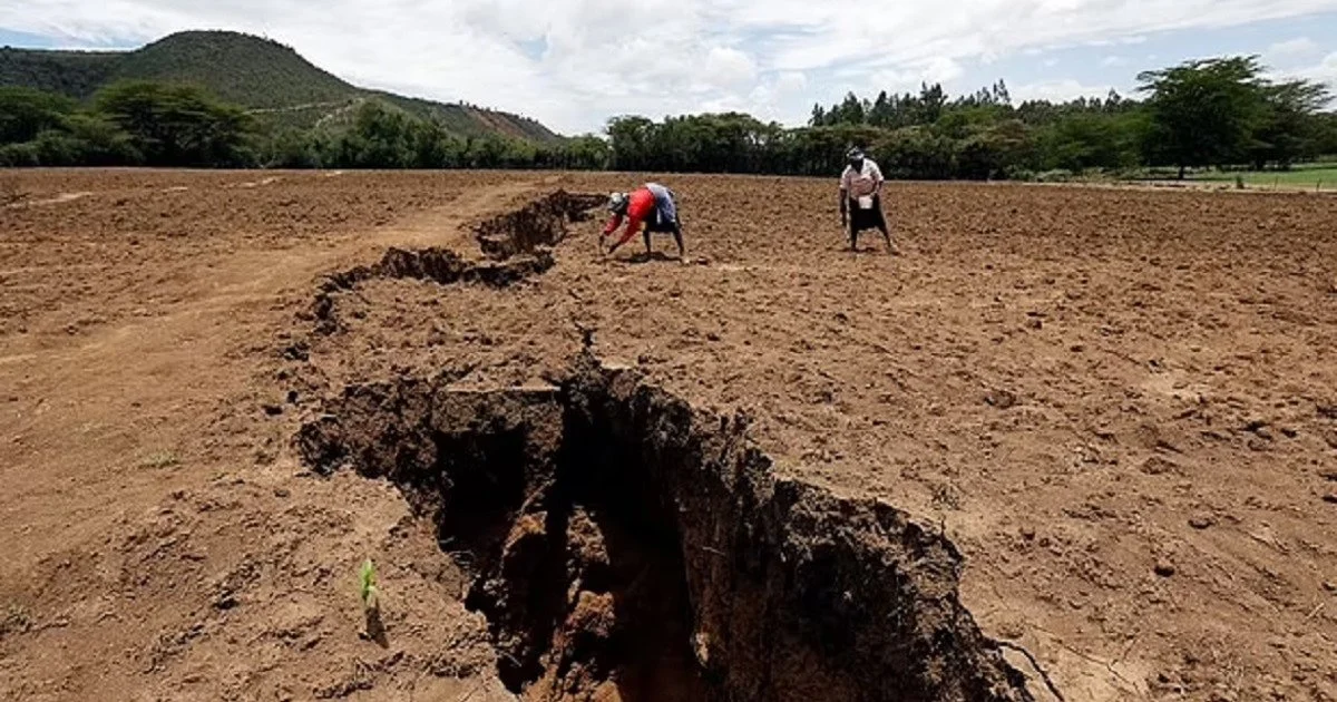 The Earth's crust in East Africa is rapidly thinning Земна кора в Східній Африці стрімко тоншає