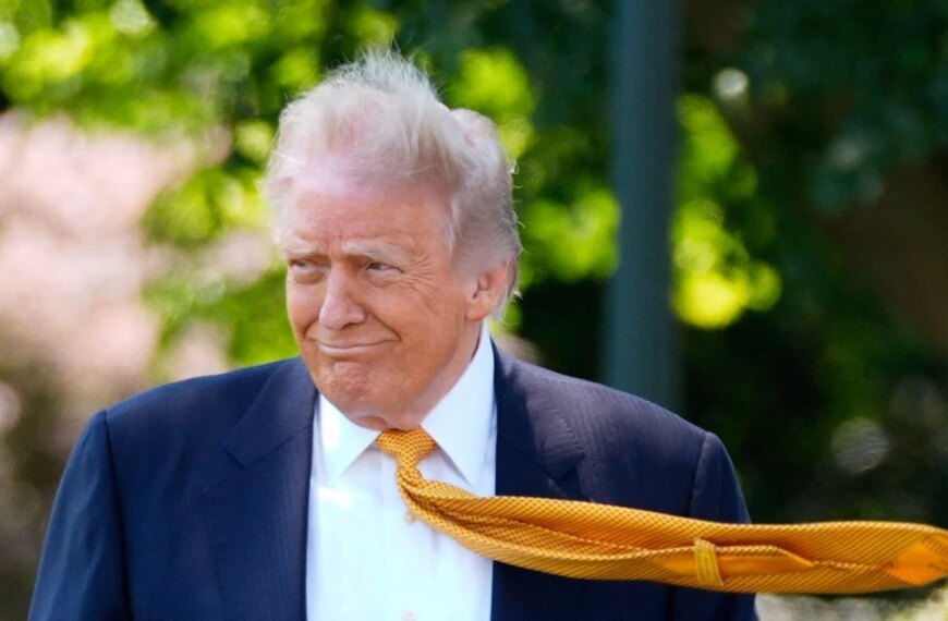 Trump Halts Iran Attack Following Gulf Allies’ Pleas