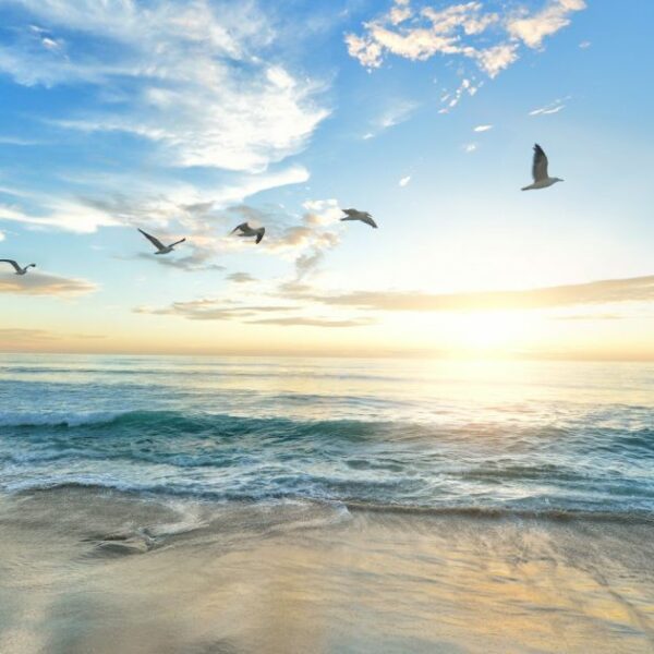 Untouched Paradise Found: The World’s Greatest Beach Hideaway.
