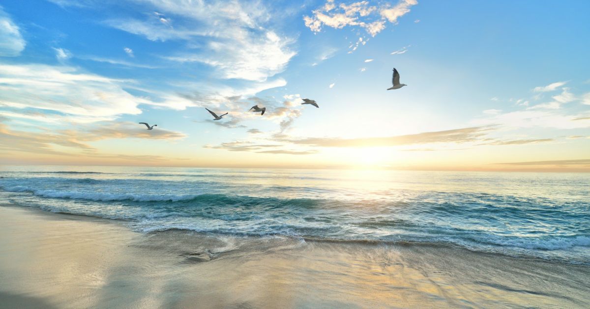 Untouched Paradise Found: The World’s Greatest Beach Hideaway.