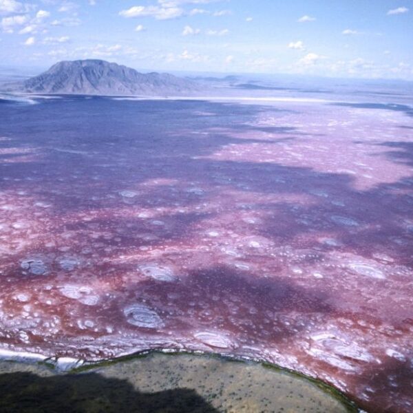 World’s Most Lethal Lake: A Petrifying Hellhole