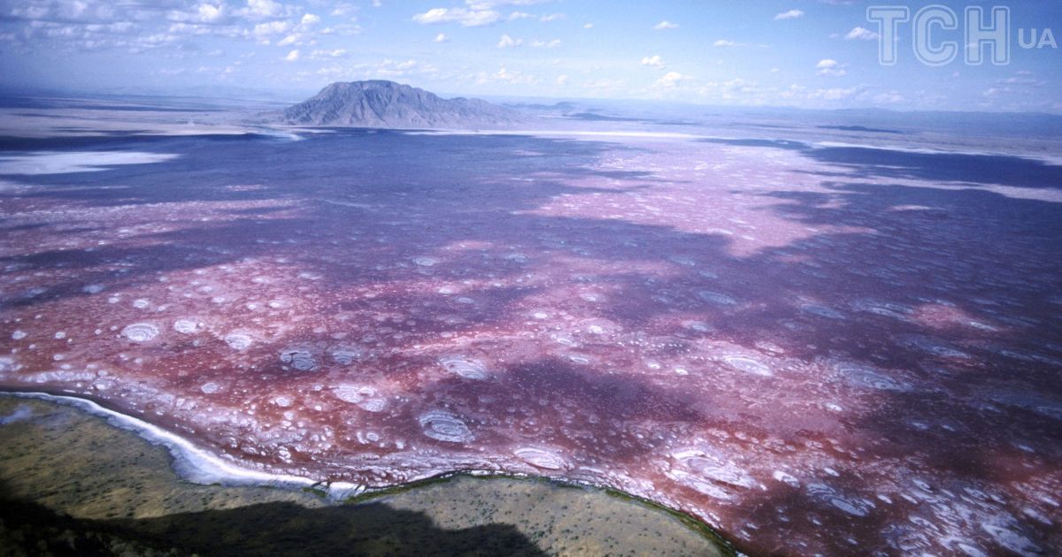 World’s Most Lethal Lake: A Petrifying Hellhole