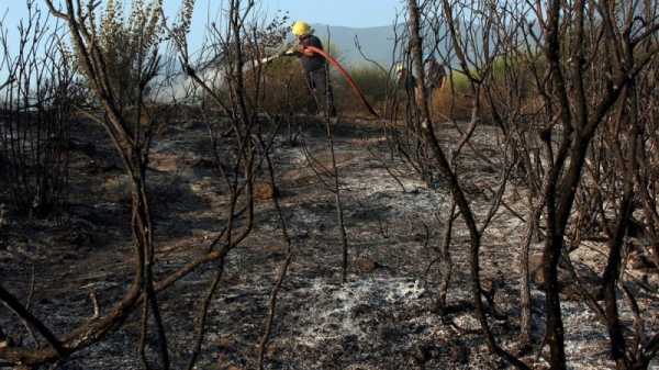 Albania takes €30 million loan from Italy to bolster civil defence | INFBusiness.com