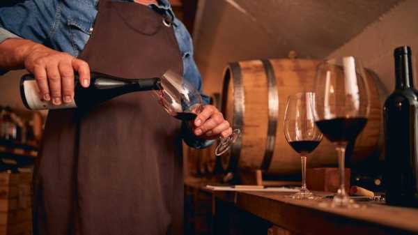 Czech winemakers urge EU dialogue on excise duty | INFBusiness.com