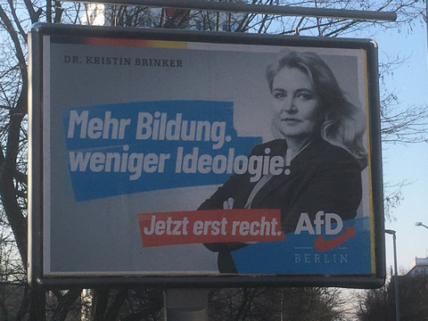 Germany's new 'left' party — AfD-killer or personality cult? | INFBusiness.com