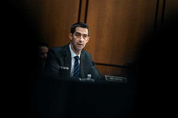 Cotton Urges Citizens to Forcibly Confront Pro-Palestinian Protesters | INFBusiness.com