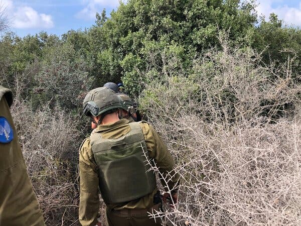 A line of soldiers in military uniforms and helmets walking along a trail into a dense forest.