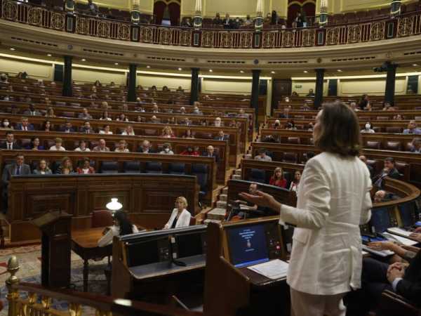 Spanish secrecy law would hamper public participation, civil society warns | INFBusiness.com