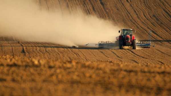 Slovakia delays payments to farmers, EU can’t intervene | INFBusiness.com